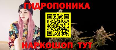 бошки Севастополь