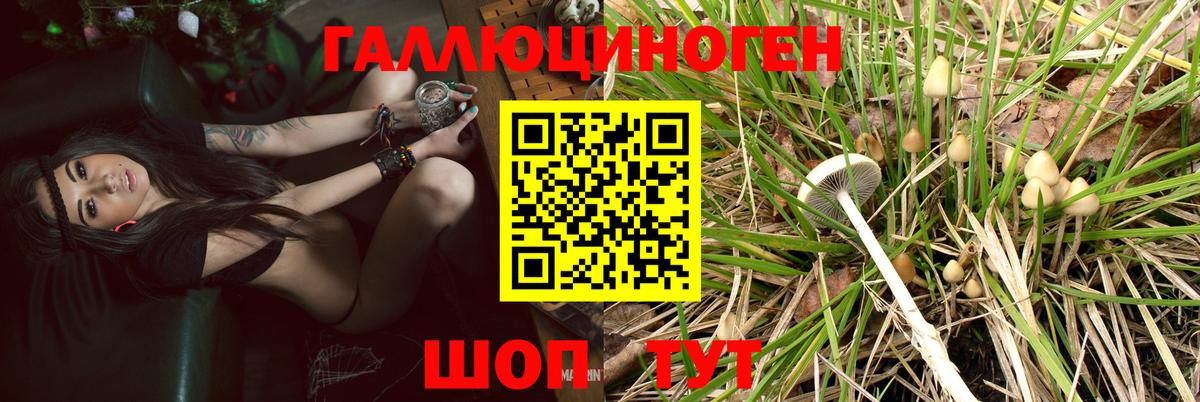 Псилоцибиновые грибы Magic Shrooms  Вход с VPN  Ярцево 