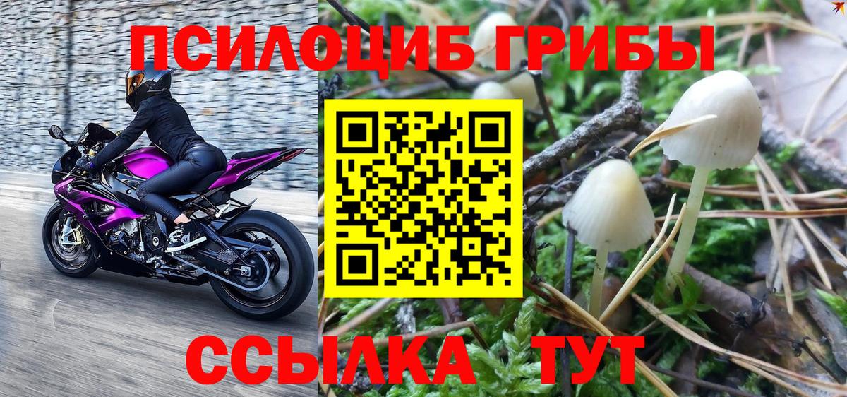 Галлюциногенные грибы Cubensis Ярцево